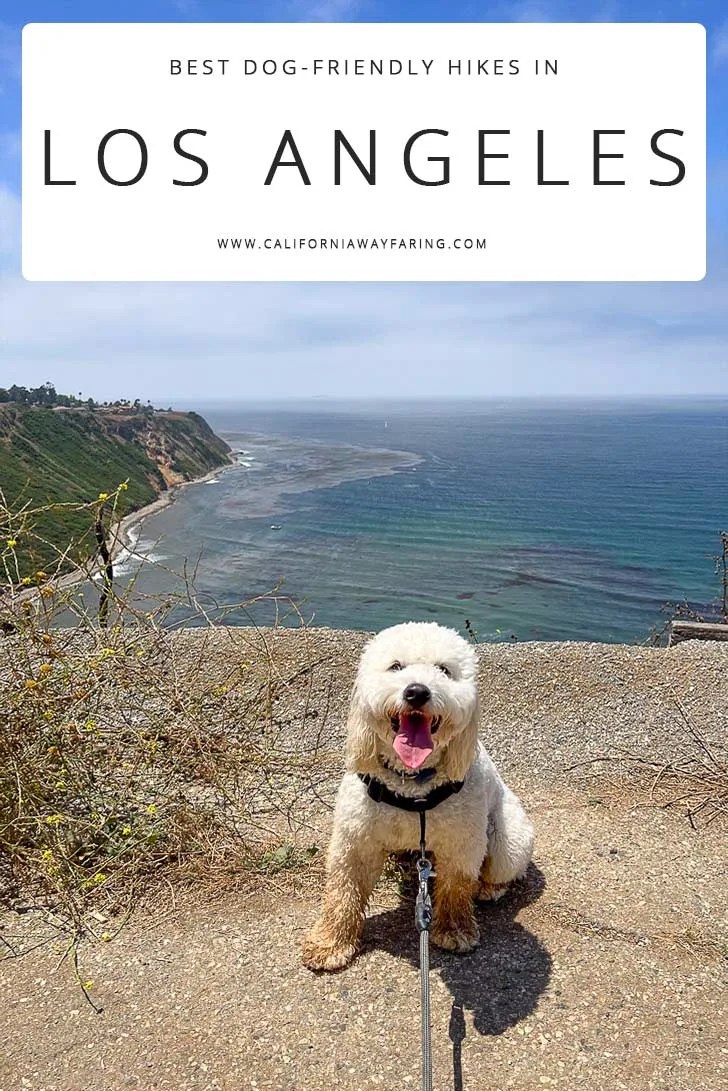 Best Dog Friendly Hikes Near Me