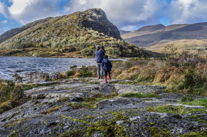 Best Dog Friendly Holidays Ireland