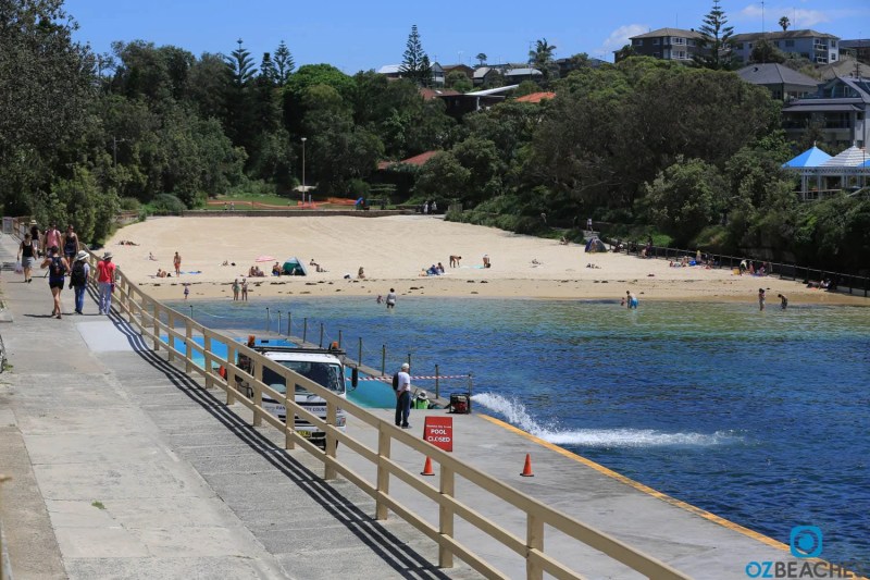 Dog Friendly Beaches Eastern Suburbs