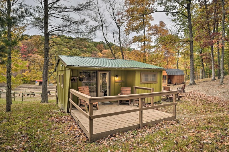 Dog Friendly Cabins To Rent Near Me