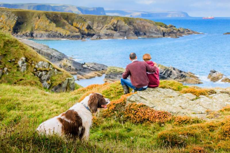 Dog Friendly Holidays Last Minute Deals