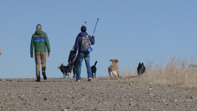 Dog Friendly Parks Near Me Now