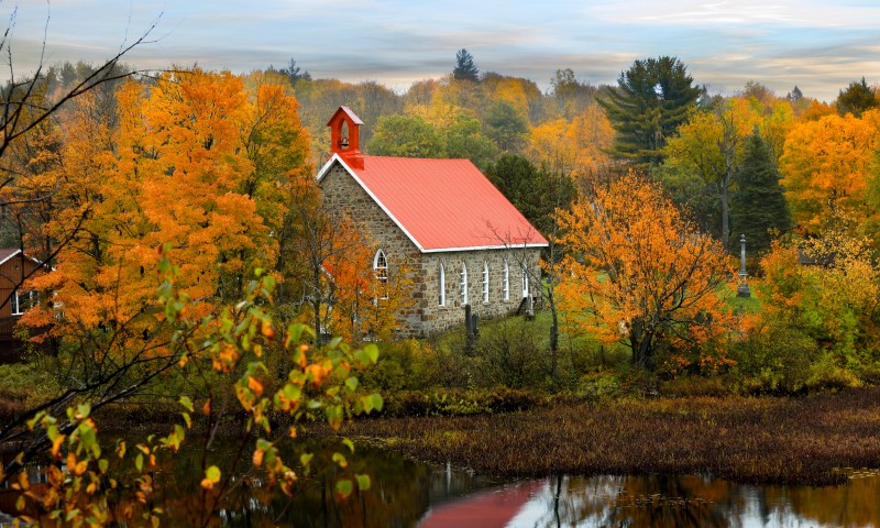 Dog Friendly Resorts Near Ottawa