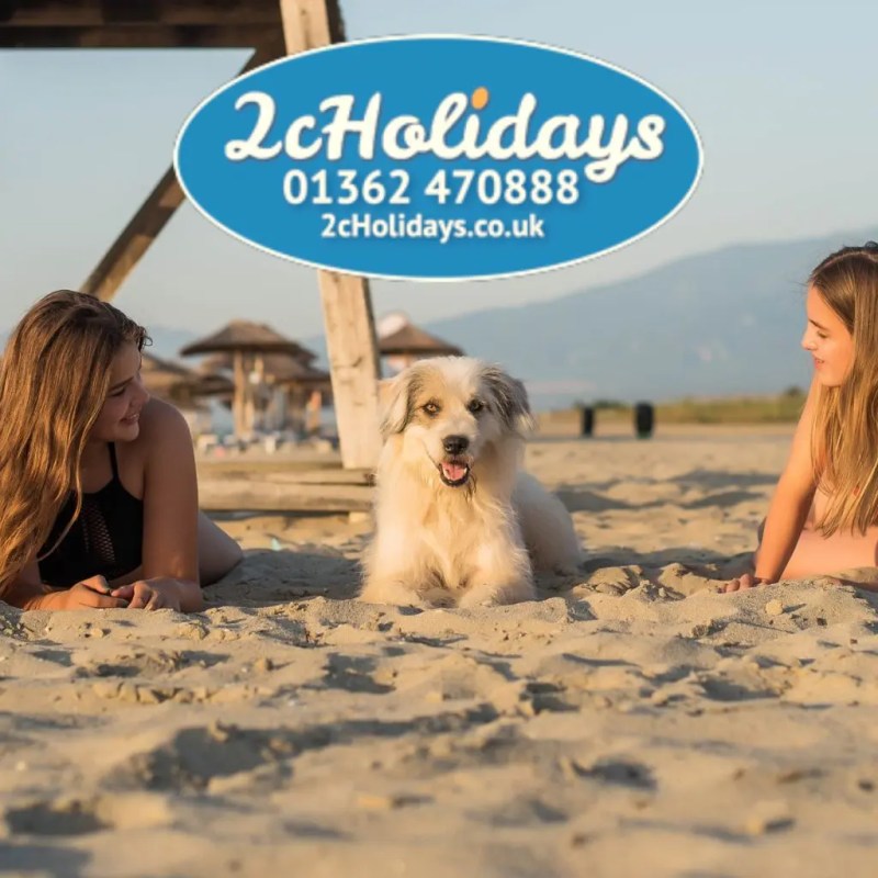 Dog Friendly Resorts Uk