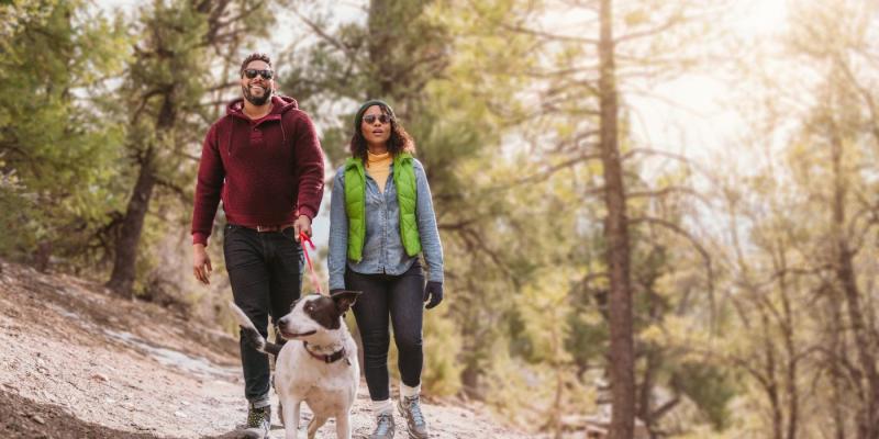 Dog Friendly Vacations California