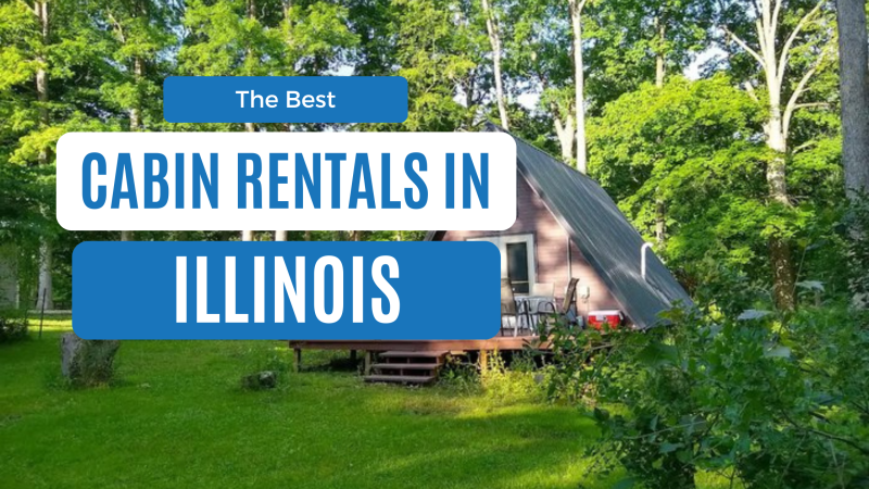 Dog Friendly Vacations In Illinois