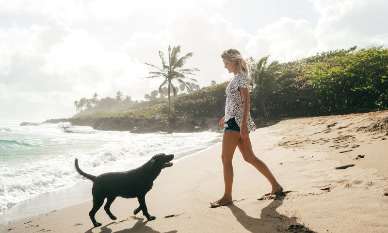 The Best Dog Friendly Vacations