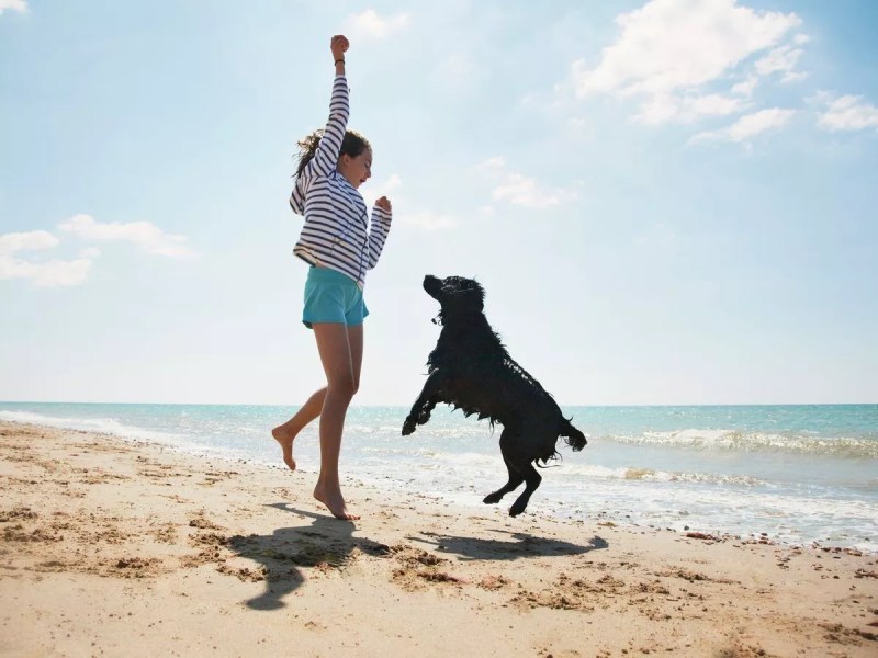 Best Dog Friendly Beaches Devon