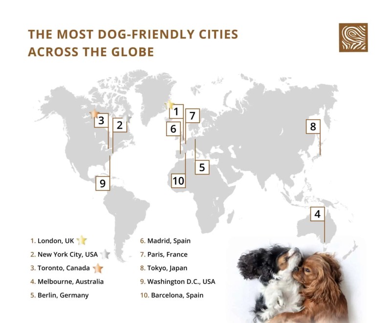 Best Dog Friendly Cities In The Us