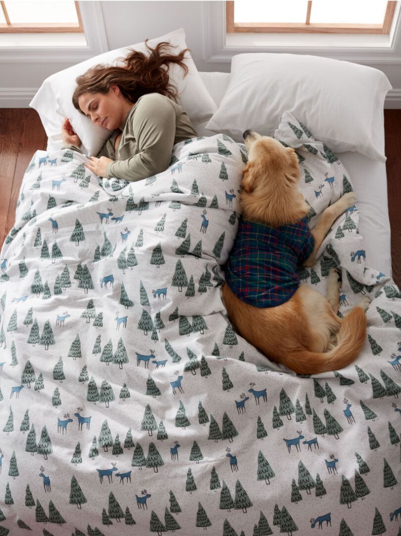 Best Dog Friendly Duvet Covers