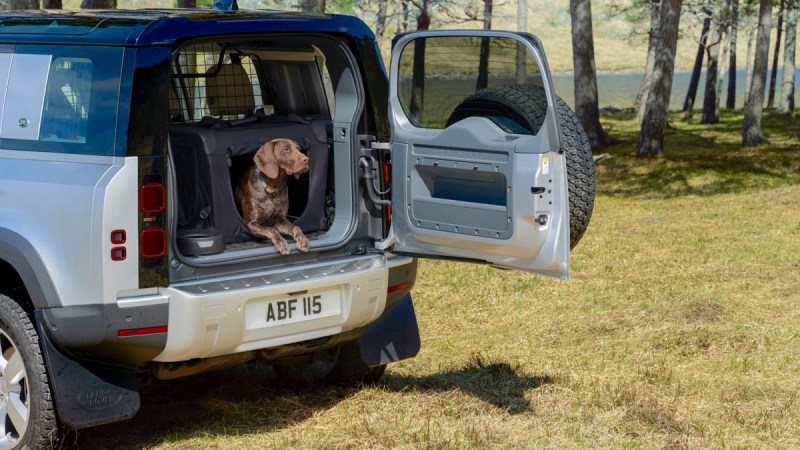 Best Dog Friendly Electric Cars