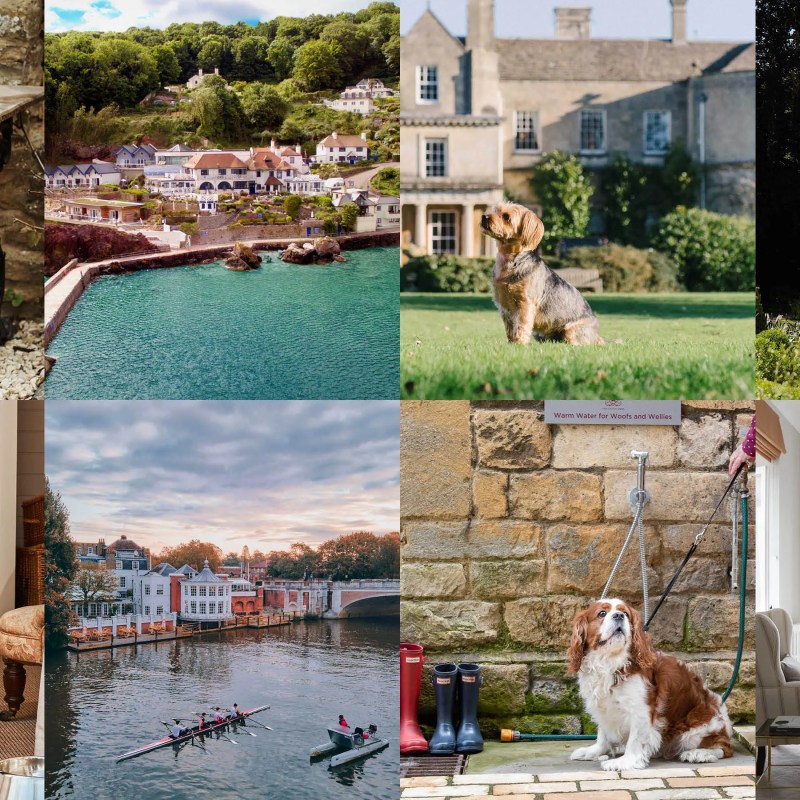 Best Dog Friendly Hotels Cotswolds