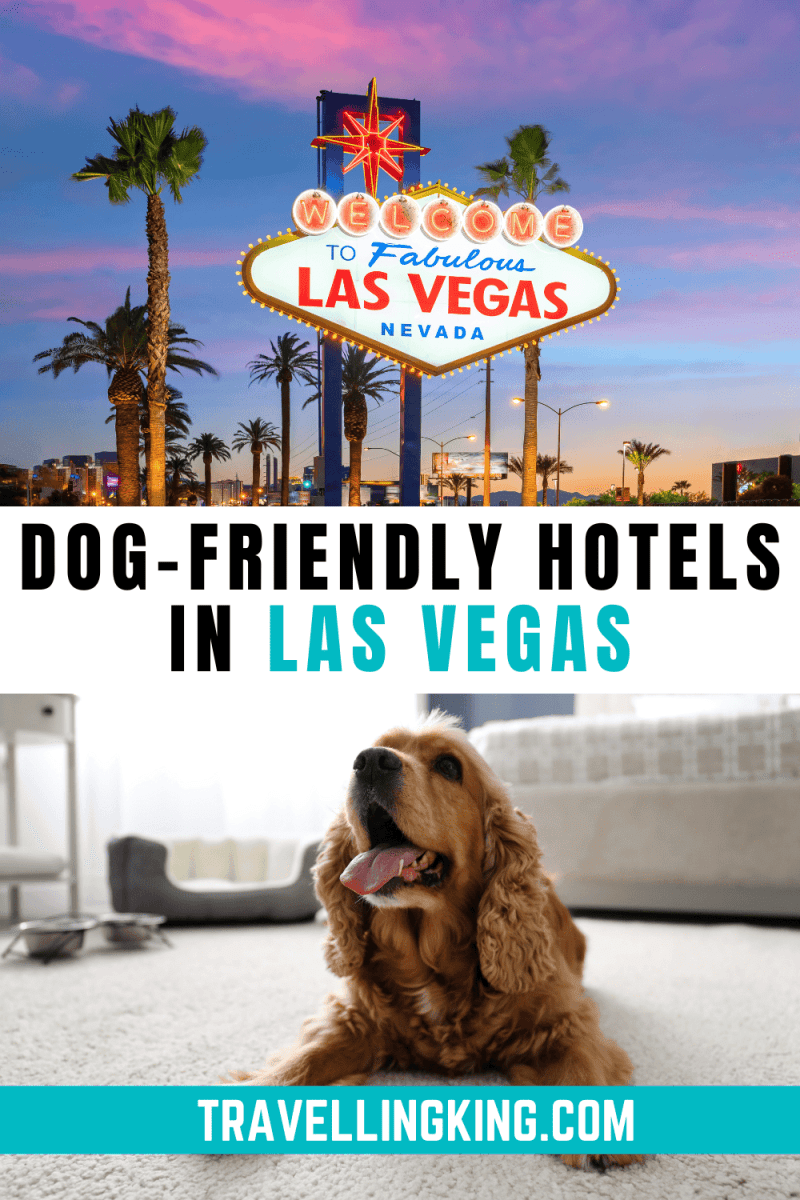 Best Dog Friendly Hotels In Las Vegas