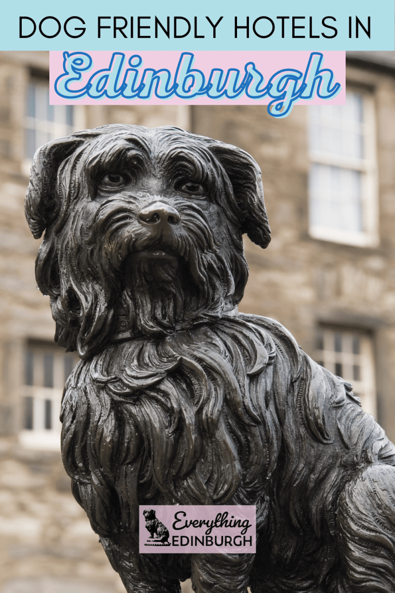 Best Dog Friendly Restaurants Edinburgh