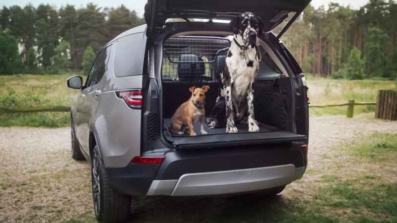 Best Dog Friendly Suv