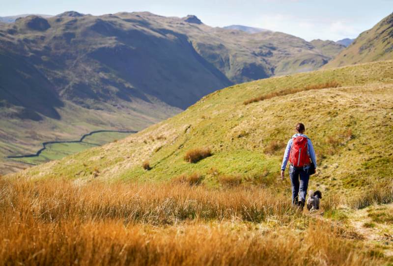 Best Dog Friendly Walks Lake District