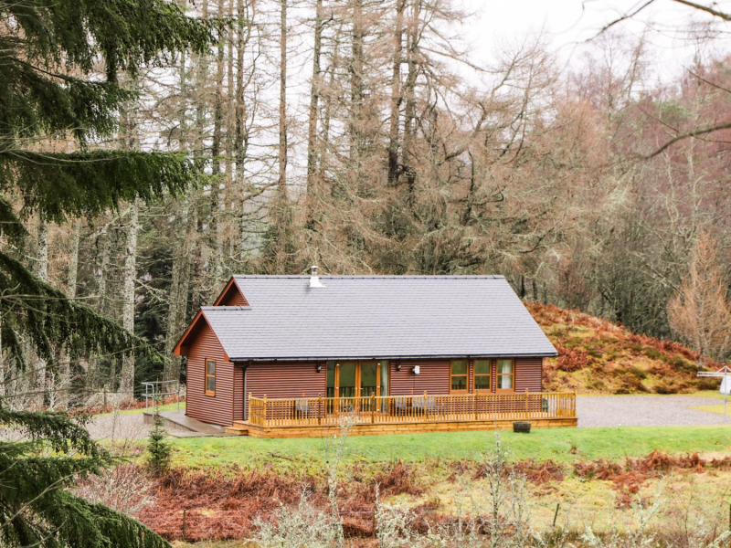 Dog Friendly Log Cabins With Enclosed Garden