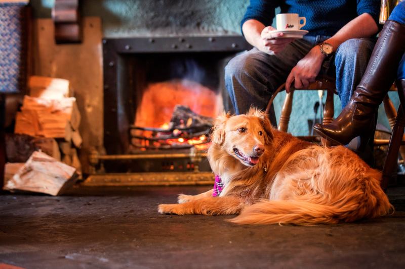 Dog Friendly Pubs Near Me Serving Food