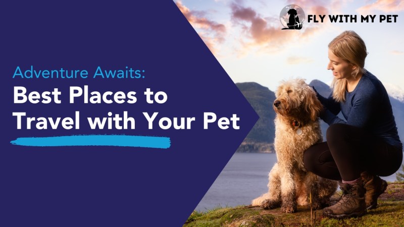 Dog Friendly Vacation Places