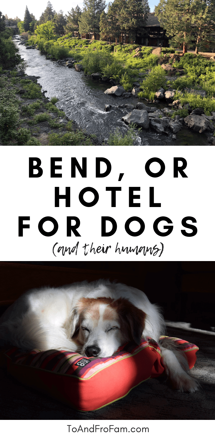 Dog Friendly Vacations Oregon