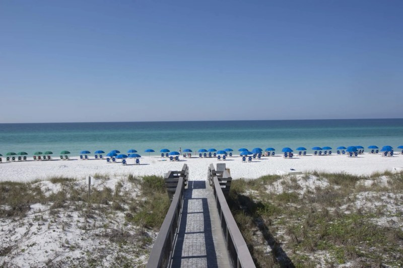 Pet Friendly Vacation Rentals Destin Fl