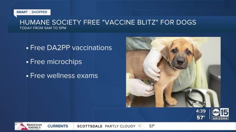 Where To Get Dog Vaccinations Near Me