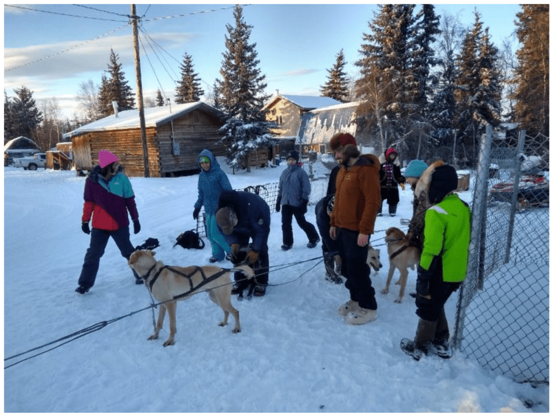 Winter Vacations With Dogs